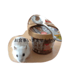 赤ちゃんハムスターのユキと猫のキリ（個別スタンプ：18）