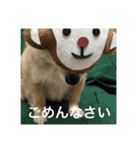 うちのちいたん（個別スタンプ：11）