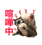 誰か買って？（個別スタンプ：15）