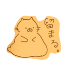 ぺんぎんねこいわし の 毎日使えるスタンプ（個別スタンプ：25）