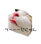 ちゃるしう（個別スタンプ：3）