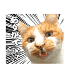 フニャンクスタンプ（個別スタンプ：1）