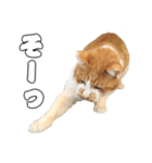 フニャンクスタンプ（個別スタンプ：5）
