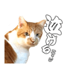 フニャンクスタンプ（個別スタンプ：10）