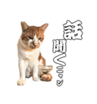 フニャンクスタンプ（個別スタンプ：14）