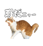 フニャンクスタンプ（個別スタンプ：20）