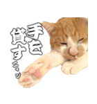 フニャンクスタンプ（個別スタンプ：21）