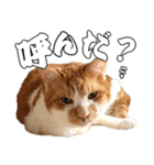 フニャンクスタンプ（個別スタンプ：23）