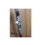 小太郎のすたんぷ（個別スタンプ：7）