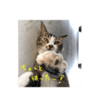 ぐれ（個別スタンプ：3）