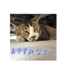 ぐれ（個別スタンプ：20）