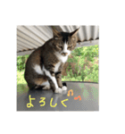 ぐれ（個別スタンプ：22）
