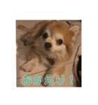 こてつ178（個別スタンプ：1）