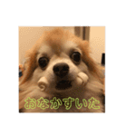 こてつ178（個別スタンプ：7）