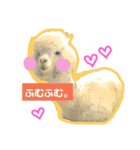 実写アルパカ（個別スタンプ：2）
