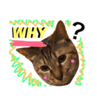 猫人生（個別スタンプ：4）