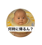 宗時郎＆清時郎（個別スタンプ：16）