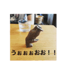 EternalWeels 1（個別スタンプ：28）