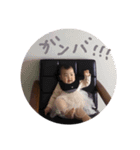なっちの日常 part 2（個別スタンプ：8）