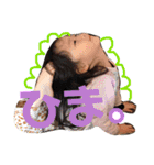 毎日楽しいあおいたん（個別スタンプ：24）