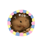 キンクマハムスターのあんず（個別スタンプ：3）