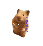 キンクマハムスターのあんず（個別スタンプ：8）