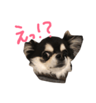 伊藤ジュンです！（個別スタンプ：8）
