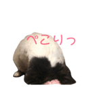 伊藤ジュンです！（個別スタンプ：13）
