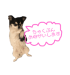 伊藤ジュンです！（個別スタンプ：32）