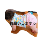 波奈スタンプ3（個別スタンプ：9）