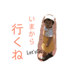 すず115（個別スタンプ：11）