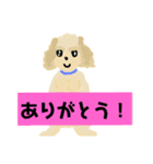 マルプーDogの表情（個別スタンプ：5）