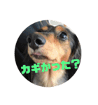 いなかっぺワンコ(遠州弁)（個別スタンプ：18）