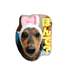 いなかっぺワンコ(遠州弁)（個別スタンプ：22）