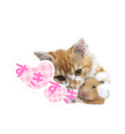 ひのきとしらかば(修正版)（個別スタンプ：5）