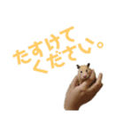 ひのきとしらかば(修正版)（個別スタンプ：6）