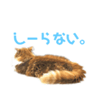 ひのきとしらかば(修正版)（個別スタンプ：8）
