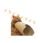 ひのきとしらかば(修正版)（個別スタンプ：9）