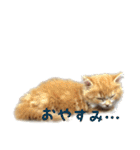 ひのきとしらかば(修正版)（個別スタンプ：13）
