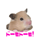 ひのきとしらかば(修正版)（個別スタンプ：14）