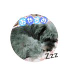 あいものスタンプ（個別スタンプ：3）