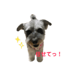 あいものスタンプ（個別スタンプ：4）