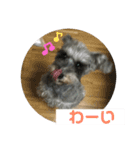 あいものスタンプ（個別スタンプ：12）