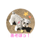 あいものスタンプ（個別スタンプ：16）