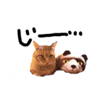 ボク時々父と猫（個別スタンプ：16）
