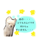 チョコミル（個別スタンプ：9）