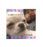 チョコミル（個別スタンプ：10）