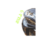 vefat（個別スタンプ：1）