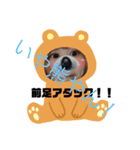花子っぽい花子（個別スタンプ：6）
