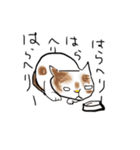 うち猫ズ（個別スタンプ：5）